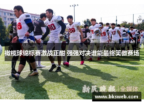 橄榄球锦标赛激战正酣 强强对决谁能最终笑傲赛场