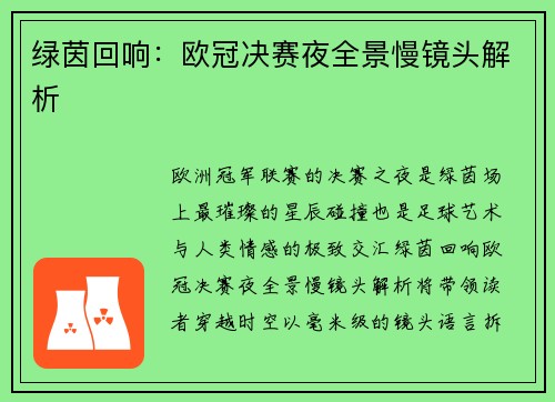 绿茵回响：欧冠决赛夜全景慢镜头解析