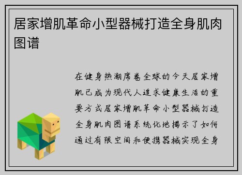 居家增肌革命小型器械打造全身肌肉图谱