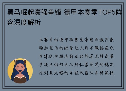 黑马崛起豪强争锋 德甲本赛季TOP5阵容深度解析